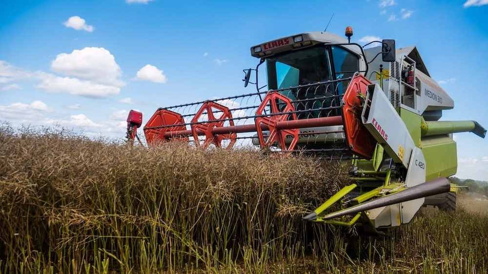 В I полугодии 2025 года валовое производство сельхозпродукции в КР составило 117.6 млрд сомов изображение публикации