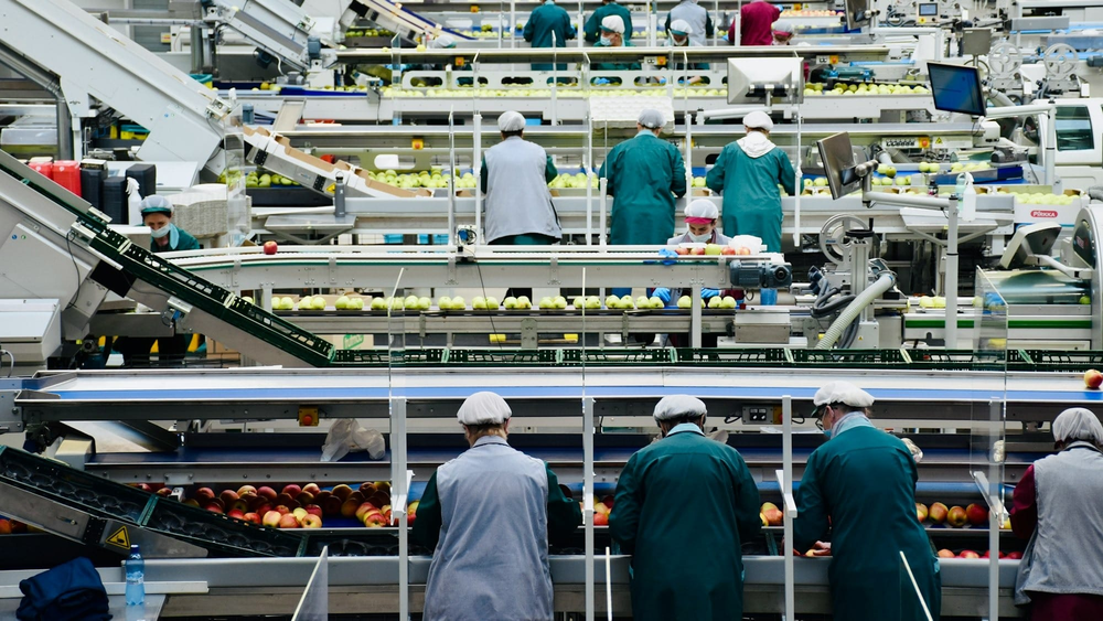 Доля пищевой промышленности в переработке КР достигла 20.9% изображение публикации