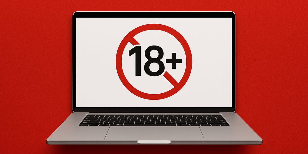 В Кыргызстане ввели штрафы за распространение порнографии в Интернете изображение публикации