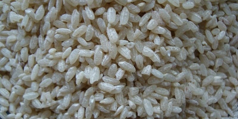 В 2024 году баткенское предприятие экспортировало 5 тонн риса в США изображение публикации