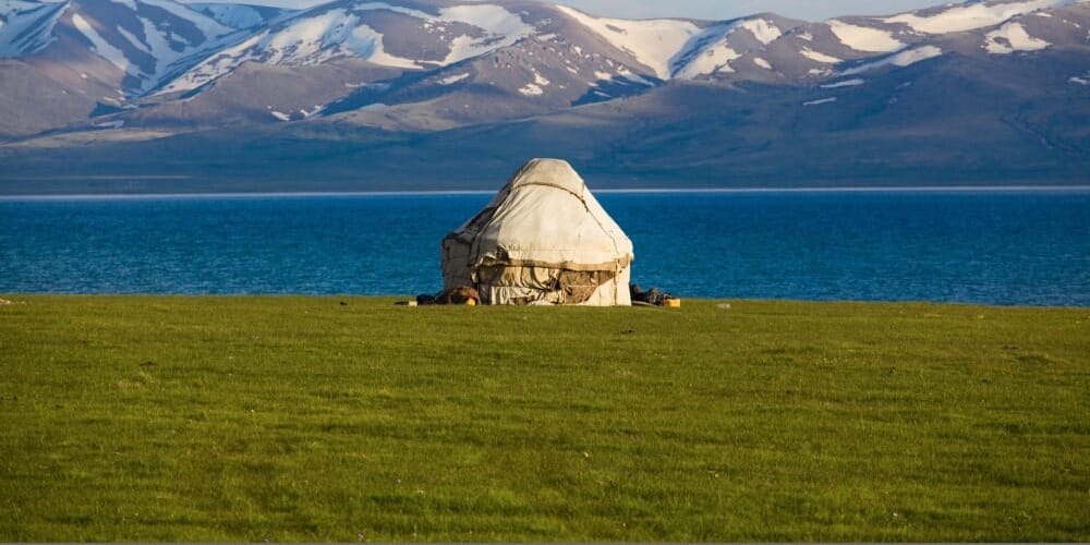 В КР для восстановления пастбищ засеют более 173 тонны семян трав изображение публикации