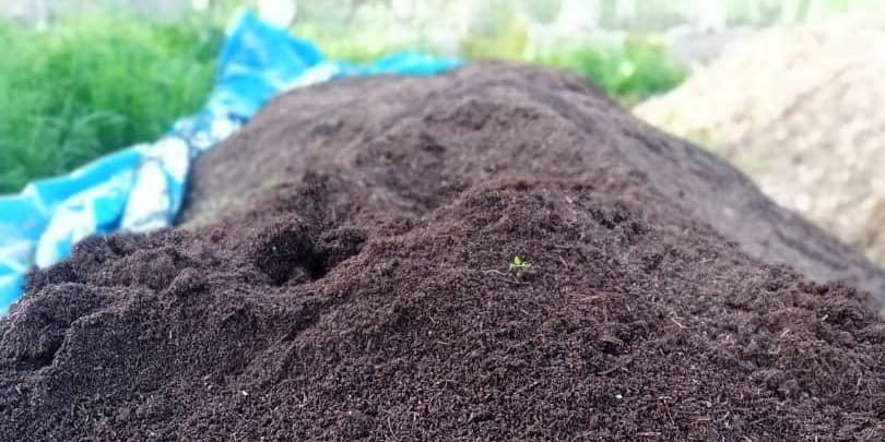 Фермер из Иссык-Куля наладил разведение червей для удобрения почвы изображение публикации