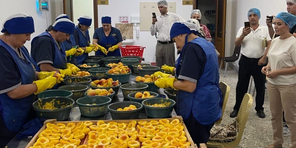 Даже небольшие партии можно экспортировать – производители сухофруктов прошли обучение в Армении изображение публикации