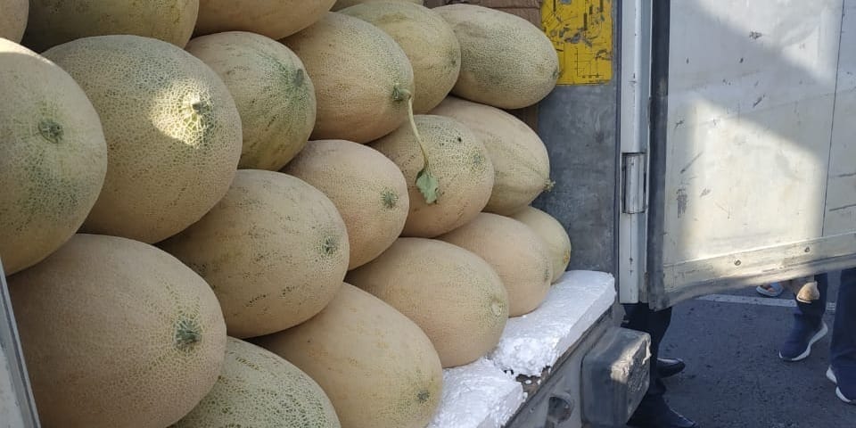 На границе с Узбекистаном задержали груз с дынями и незаявленной соломой изображение публикации