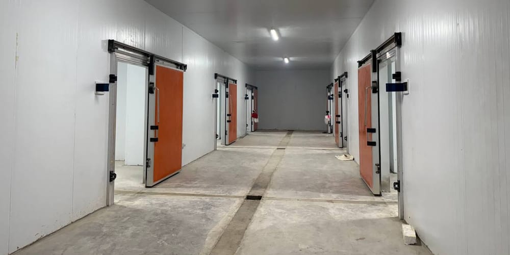 В Оше построен логистический центр на 2 тысяч тонн овощей и фруктов изображение публикации