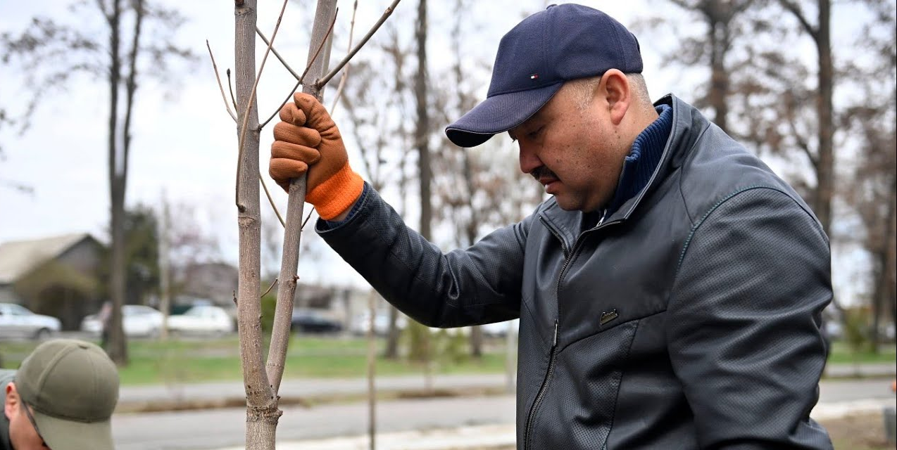 «Прекратите нанимать блогеров»: спикер ЖК раскритиковал чиновников за самопиар изображение публикации