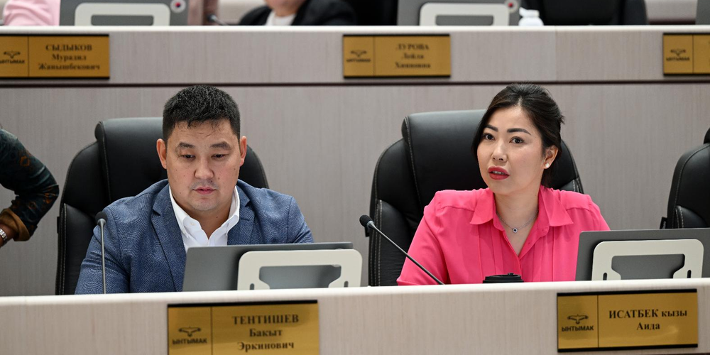 Аварийные школы, разбитые дороги и отсутствие отопления: депутаты ЖК обозначили проблемы регионов изображение публикации