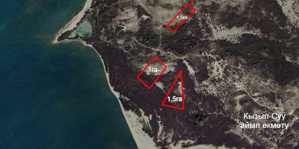 В Джети-Огузском районе государству вернули участки стоимостью 12.7 млн сомов изображение публикации