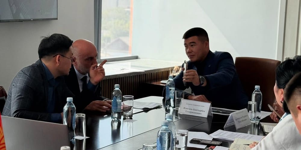 Турецкие инженеры бесплатно оснастят Балыкчы указателями, табло и камерами безопасности изображение публикации