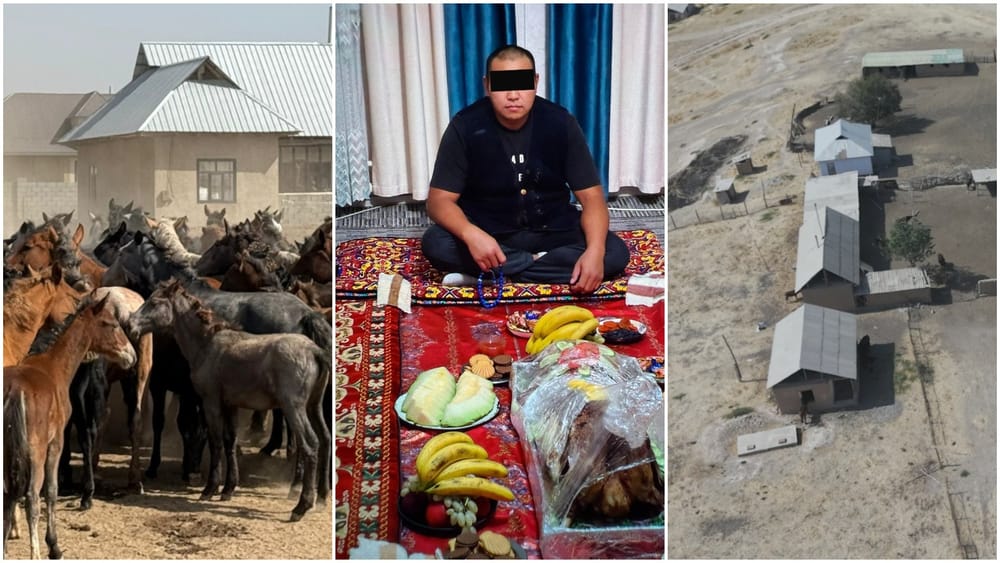 Осужденный назначил себя «положенцем» в психбольнице: на деньги «общака» покупал скот и недвижимость изображение публикации