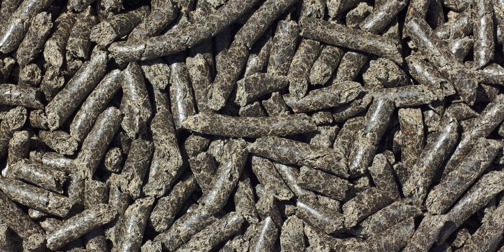 В Казахстан вернули 48 тонн подсолнечного шрота из-за отсутствия фитосертификата изображение публикации