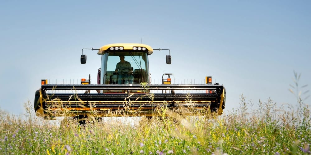 Сколько кооперативов действуют в КР, рассказали в Минсельхозе изображение публикации