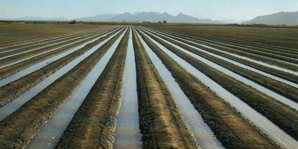 В Кыргызстане начали осенний влагозарядковый полив – работы охватят 220 тысяч га изображение публикации