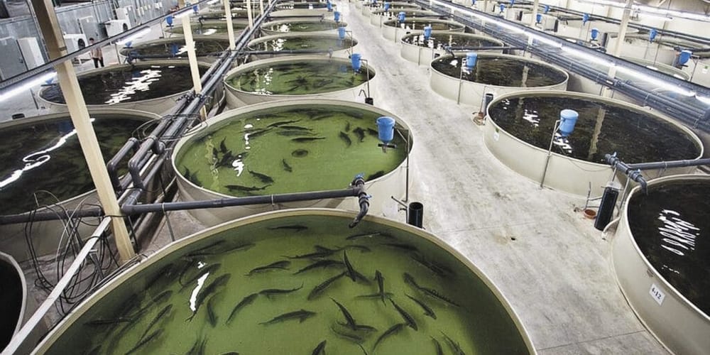 Минсельхоз проведет обучающие семинары для рыболовных предприятий изображение публикации