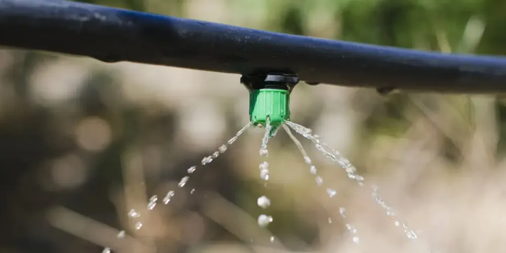Водосберегающие ирригационные системы исключены из расчета ущерба за порчу земель изображение публикации