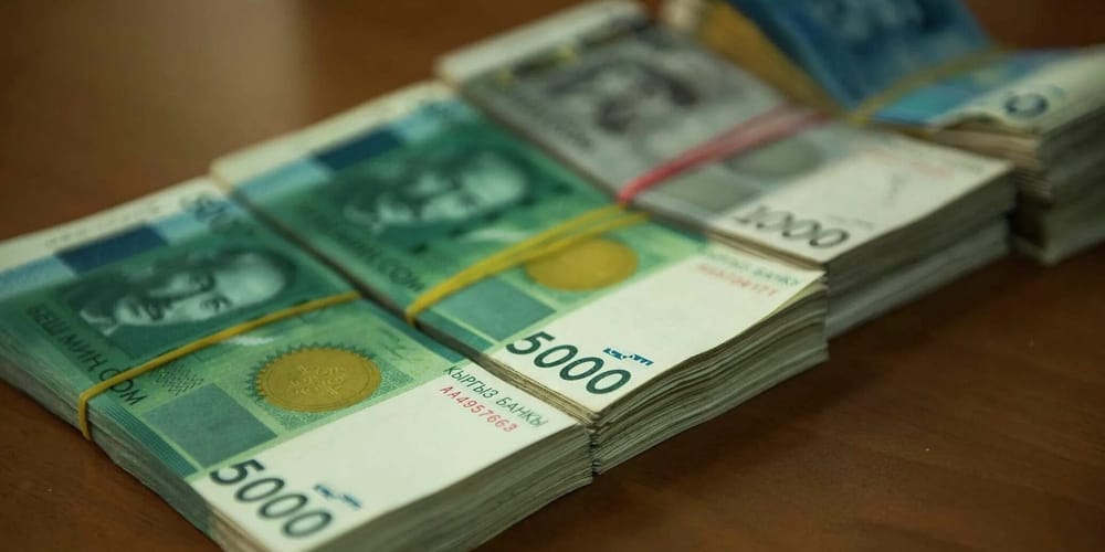 Сельхозпроизводители получили льготные кредиты на 79.2 млн сомов – Минфин изображение публикации