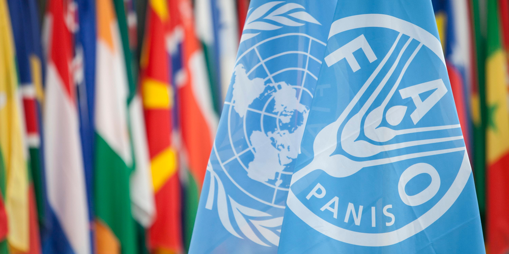 В Кыргызстане появится постпредство ФАО ООН изображение публикации