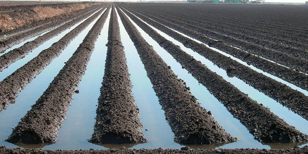 Минсельхоз анонсировал модернизацию агросектора и расширение орошаемых земель изображение публикации