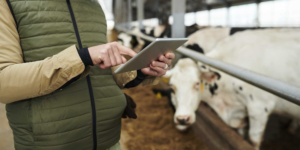 Сельхозперепись в Кыргызстане перенесли на весну 2026 года изображение публикации