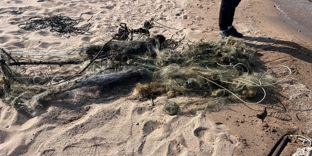 Экотехнадзор пресек незаконный лов на Иссык-Куле — изъято 500 метров сетей изображение публикации