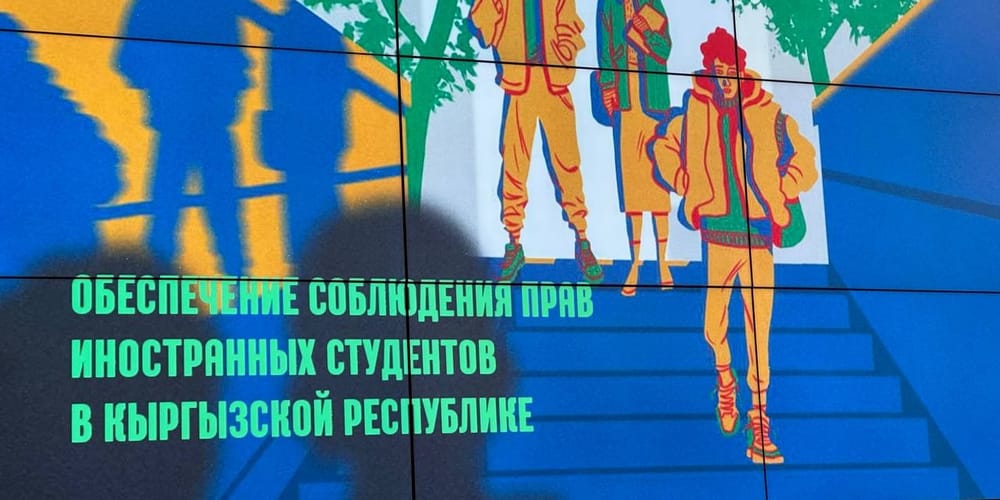 Учебных виз в КР стало в 4 раза меньше — иностранные студенты жалуются на дискриминацию и насилие изображение публикации