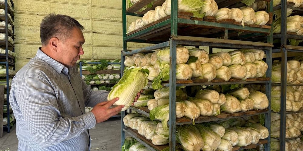 Кимчи, кактуги, танмучи: «Айджен Компани» возобновит производство корейских салатов в КР изображение публикации