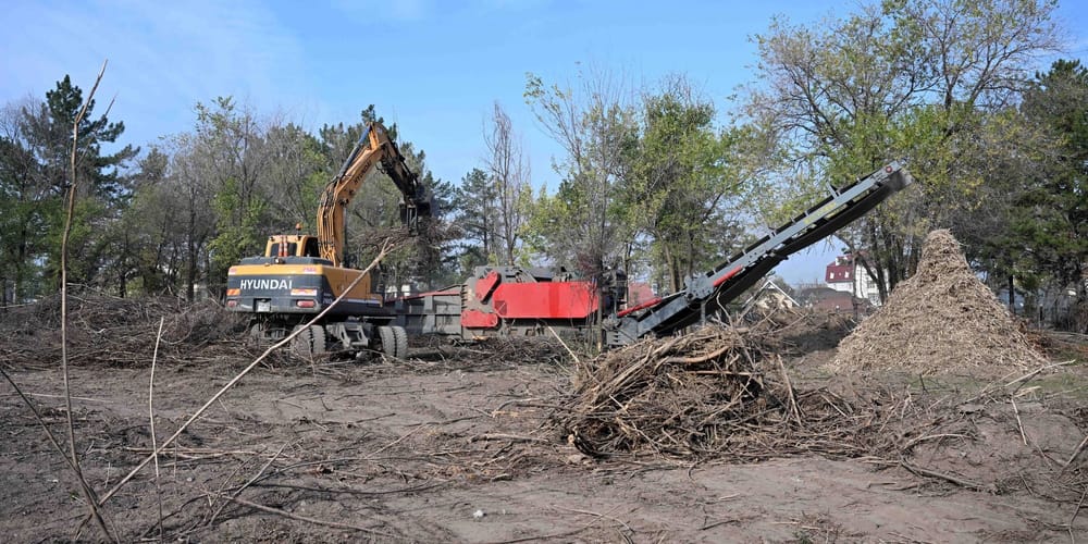«Легкие столицы» обновят за 340 млн сомов — кабмин анонсировал реконструкцию Ботсада в Бишкека изображение публикации