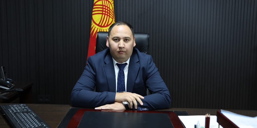 Адилет Сотовалдиев возглавил Службу ветеринарии и стал главным ветинспектором КР изображение публикации