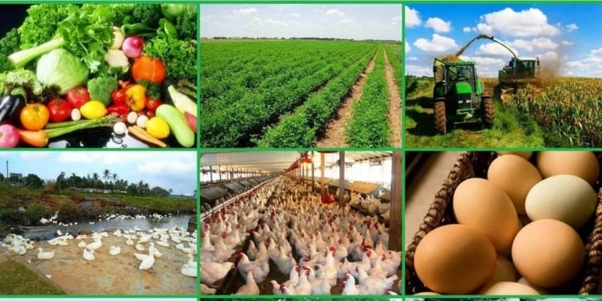 АБР выделил $52.4 млн на развитие устойчивого сельского хозяйства в Кыргызстане изображение публикации