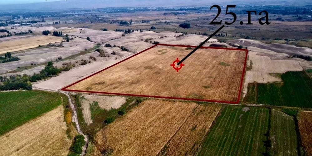 Государству возвращены 226 га сельхозземель в Чуйской области изображение публикации