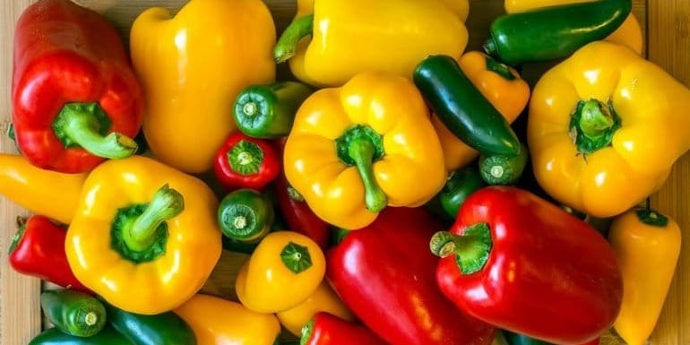 Кооператив «Ал-Бука Байдыйкан» собрал первый урожай болгарского перца — часть отправлена на экспорт изображение публикации