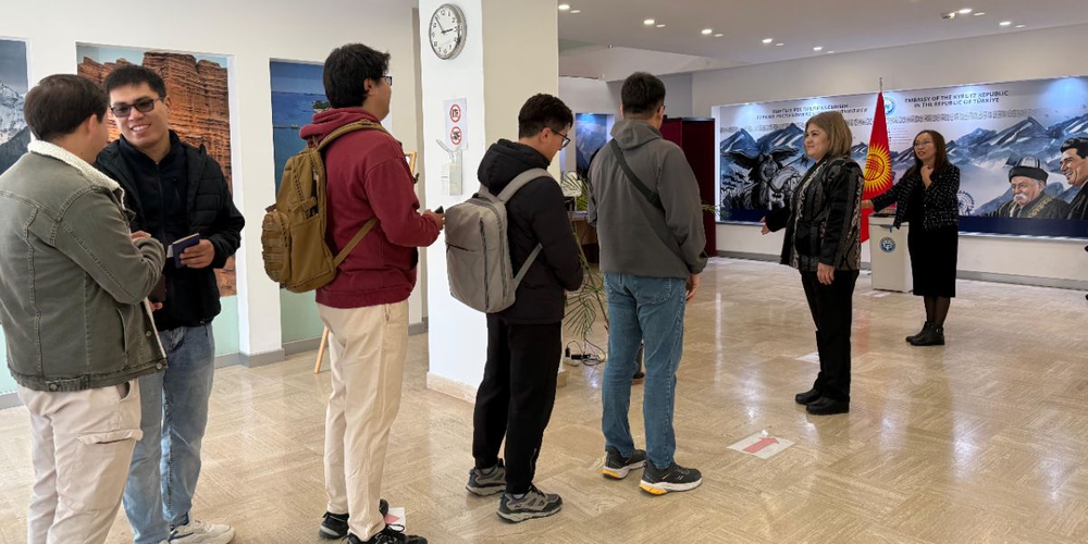 К вечеру 30 ноября за рубежом проголосовали почти 22 тысячи кыргызстанцев изображение публикации