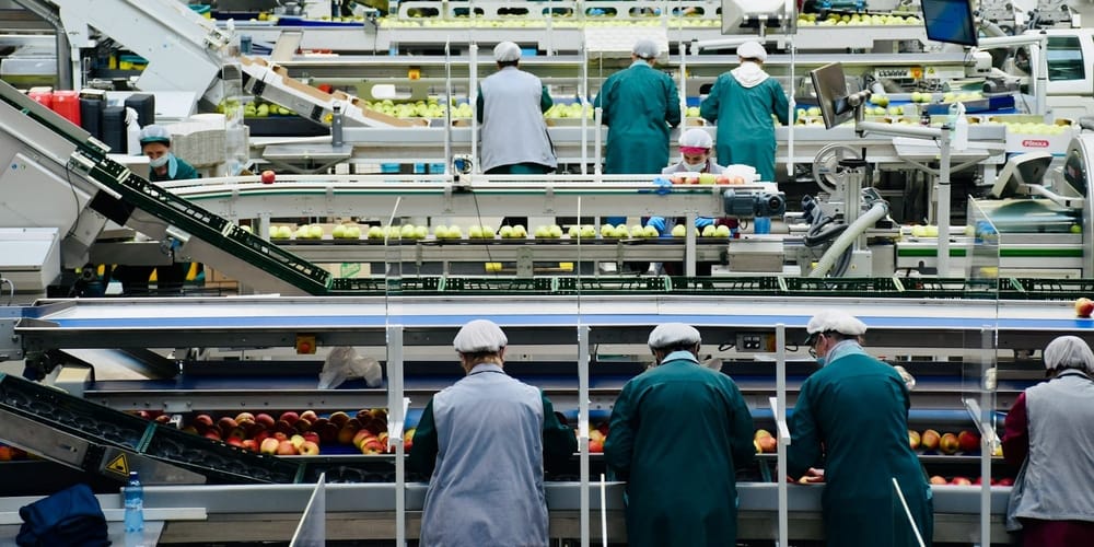 В КР планируют создать Национальный фонд индустриального развития и цифровую систему отраслей изображение публикации