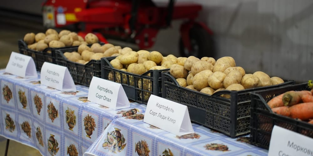 Бакыт Торобаев ознакомился с работой Центра развития картофелеводства «Тюп» изображение публикации