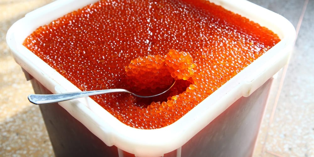 В Токтогульском районе строят цех по производству икры форели за 11 млн сомов изображение публикации