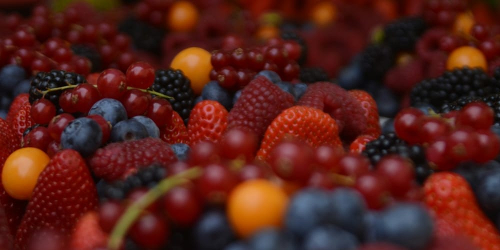 Ягодное эмбарго: кабмин КР предлагает временно запретить ввоз ряда плодово-ягодных саженцев изображение публикации