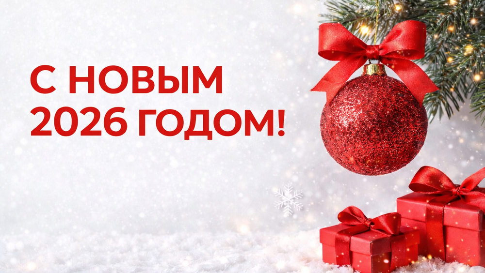 Economist.kg поздравляет кыргызстанцев с Новым 2026 годом! изображение публикации