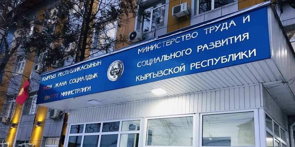 С чем чаще всего кыргызстанцы обращаются в Минсоцтруда — итоги года изображение публикации