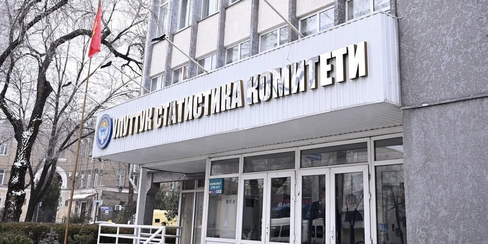 Счетная палата нашла в Нацстаткоме нарушения на 18.8 млн сомов изображение публикации