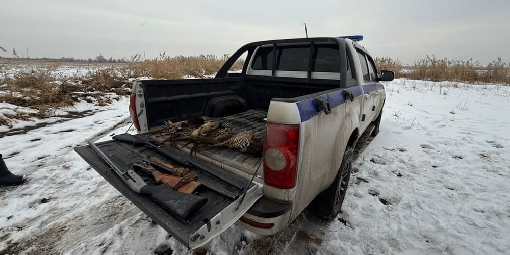 Рейды по охоте в Чуйской области: нарушителей оштрафовали на 250 тысяч сомов изображение публикации