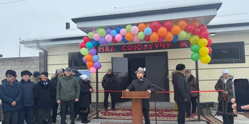 В Ак-Талинском районе запустили комплекс по откорму и убою скота изображение публикации