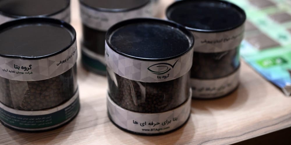 В Чуйской области открыли завод рыбных кормов — инвестиции составили $5 млн изображение публикации