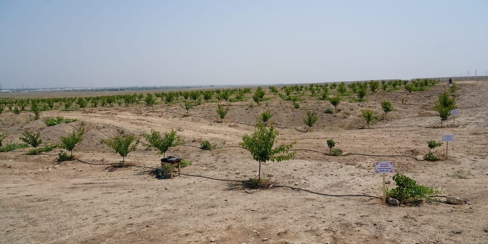 Минсельхоз КР предложил мигрантам освоить 614 тысяч га малоплодородных земель изображение публикации