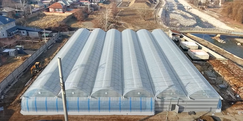 В Оше завершают строительство первой в стране «умной» теплицы площадью с футбольное поле изображение публикации