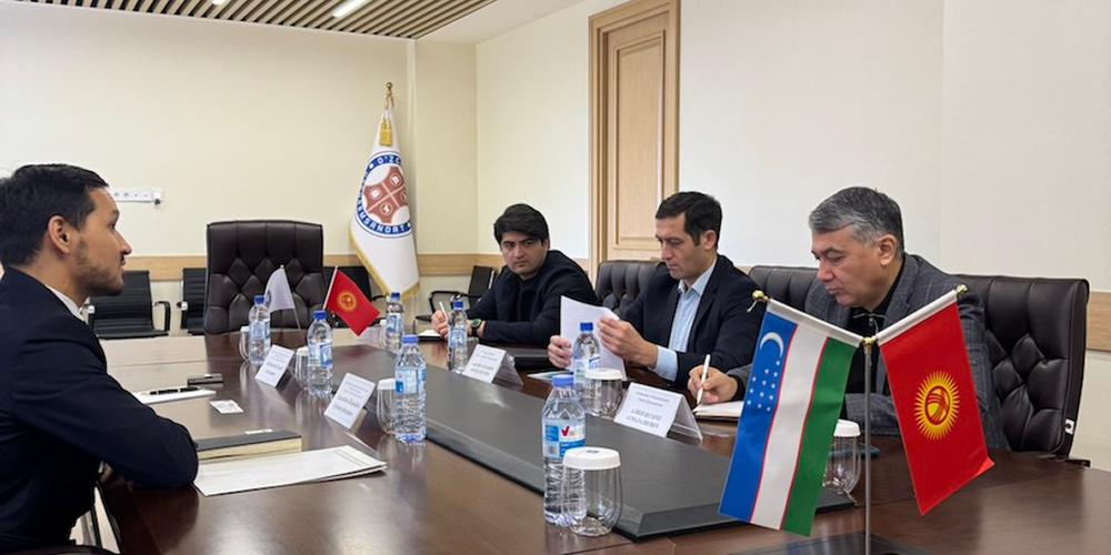 Кыргызстан собирается поставлять кожевенное сырье в Узбекистан изображение публикации