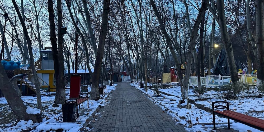 Мэр Оша поручил высадить 5 тысяч деревьев в парке Навои изображение публикации