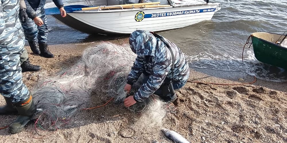 На Иссык-Куле инспекторы Минприроды изъяли рыболовные сети браконьеров изображение публикации