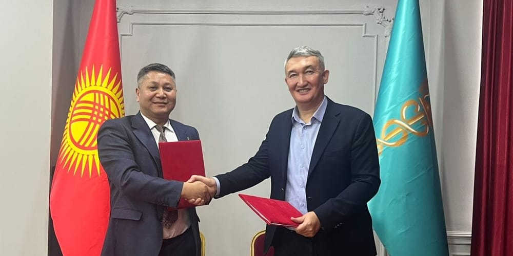 Производителям из КР предложили выход в China Co-op на 341 тысячу торговых точек изображение публикации