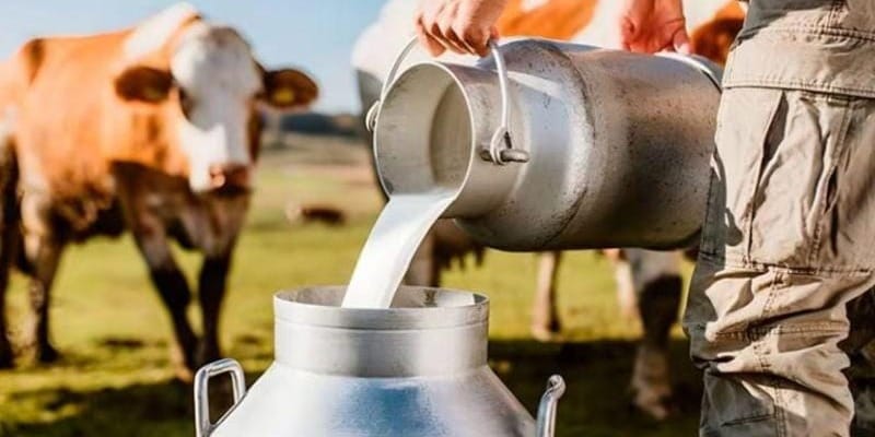 Какова закупочная цена молока в регионах КР, напомнили в Минсельхозе изображение публикации