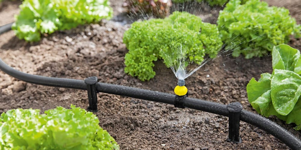 Минсельхоз предупредил фермеров о дефиците воды в 2026 году и призвал к экономии изображение публикации